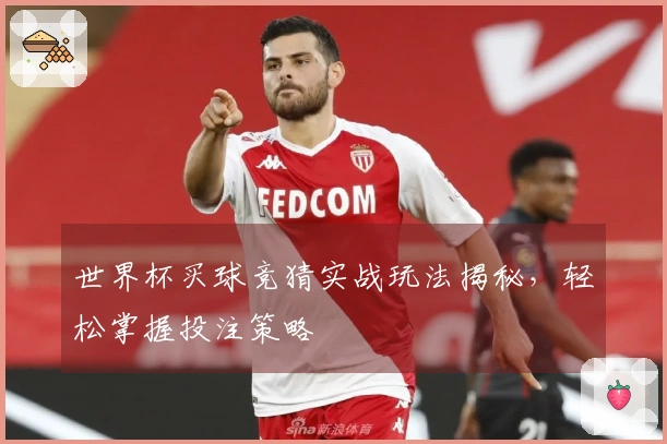 世界杯买球竞猜实战玩法揭秘，轻松掌握投注策略