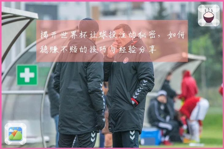 揭开世界杯让球投注的秘密，如何稳赚不赔的技巧与经验分享