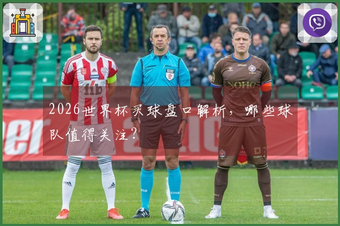 2026世界杯买球盘口解析，哪些球队值得关注？