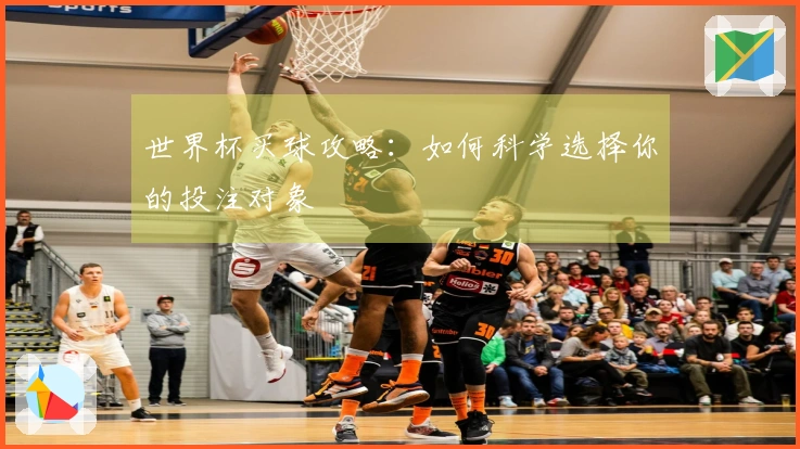 世界杯买球攻略：如何科学选择你的投注对象