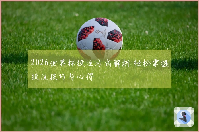 2026世界杯投注方式解析 轻松掌握投注技巧与心得