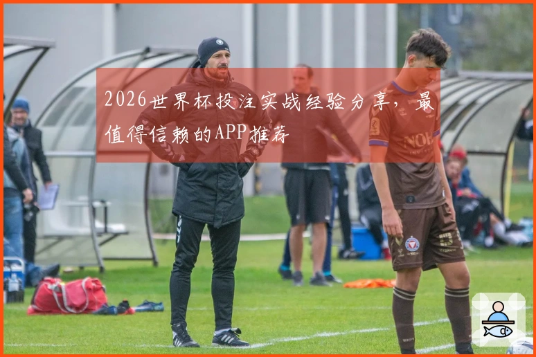 2026世界杯投注实战经验分享，最值得信赖的APP推荐